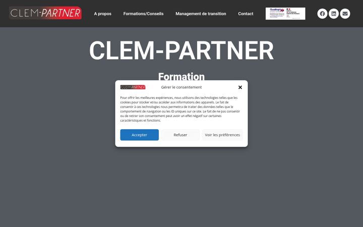 Screenshot of clem-partner.com