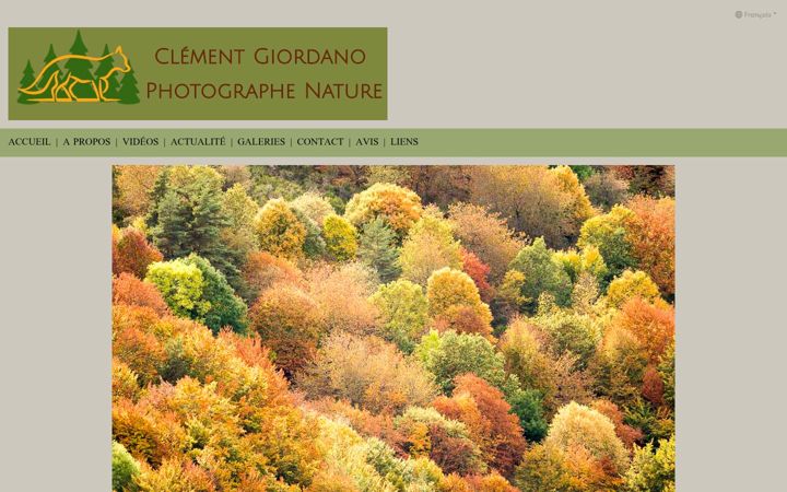 Zrzut ekranu clementgiordano.fr