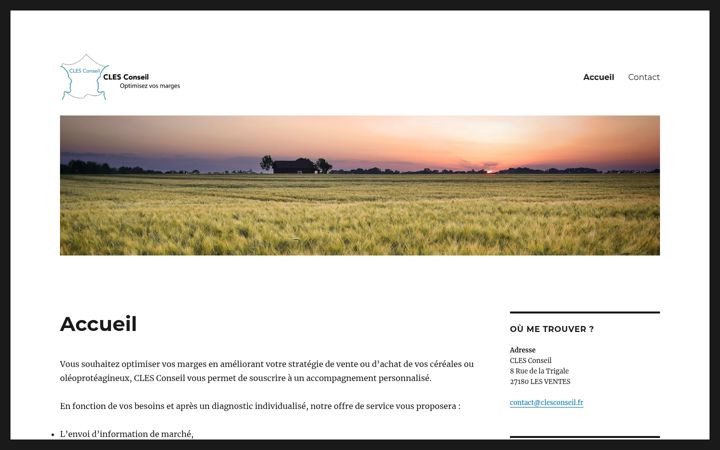 Screenshot of clesconseil.fr