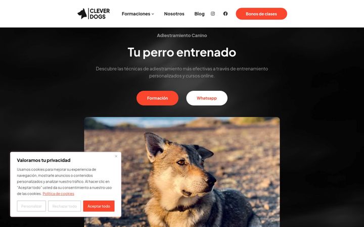 Screenshot of cleverdogs.es