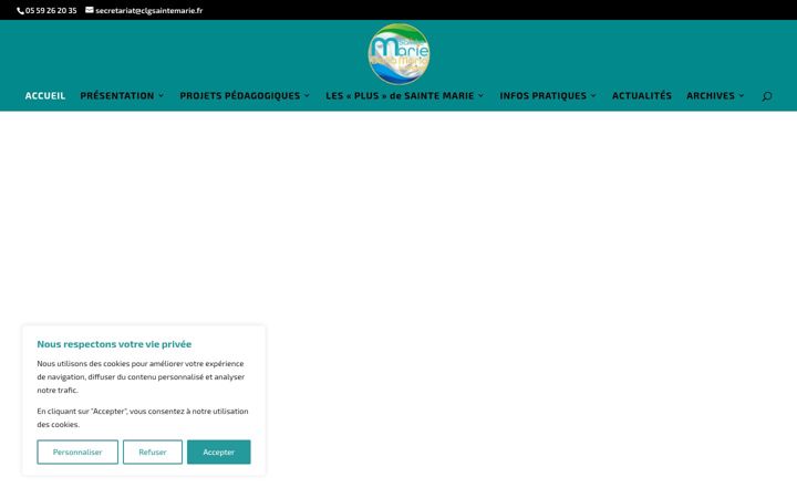 Screenshot of clgsaintemarie.fr