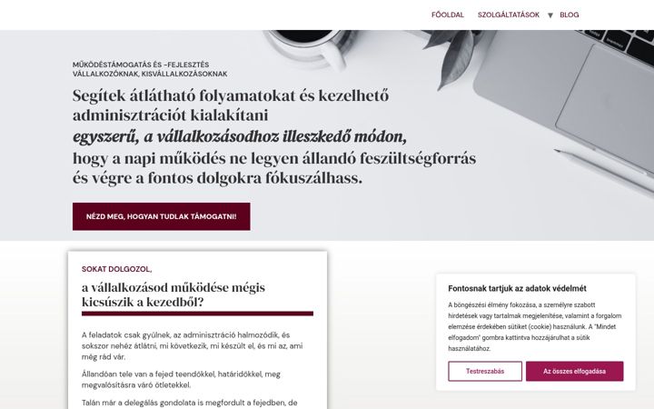 Screenshot stránky clickassist.hu