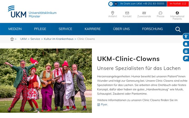 Screenshot of clinic-clowns.de