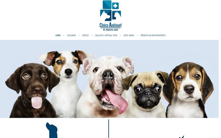 Screenshot of clinicaandriavet.it