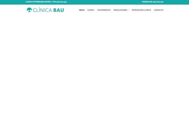 Snímek obrazovky clinicabau.es