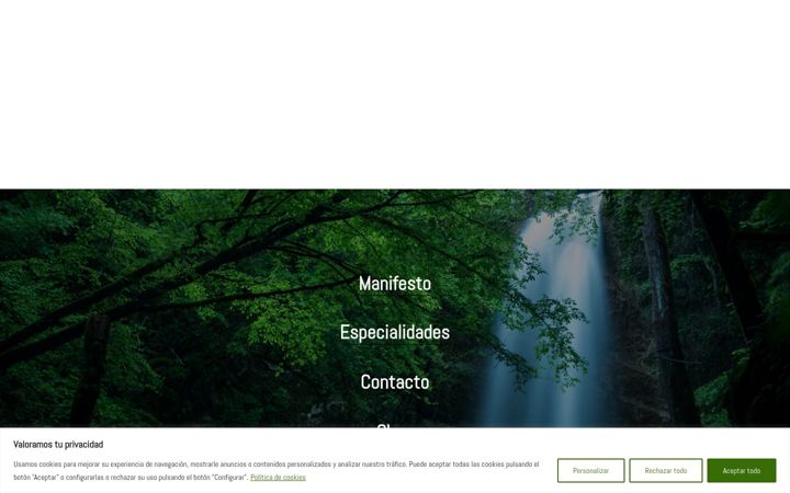 Screenshot of clinicacedro.es