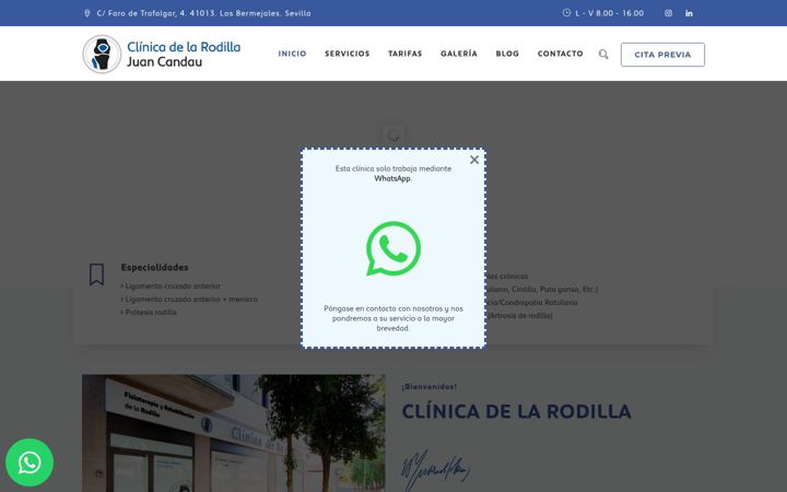 Screenshot of clinicadelarodilla.es
