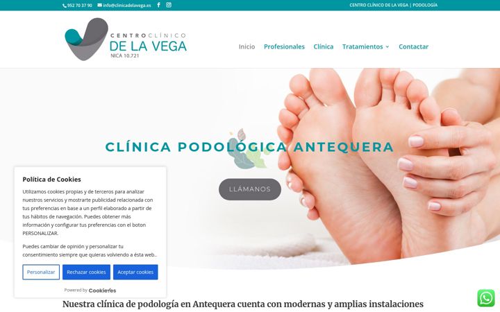 Screenshot of clinicadelavega.es