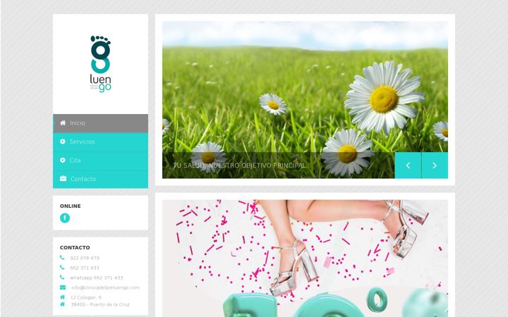 Screenshot of clinicadelpieluengo.com