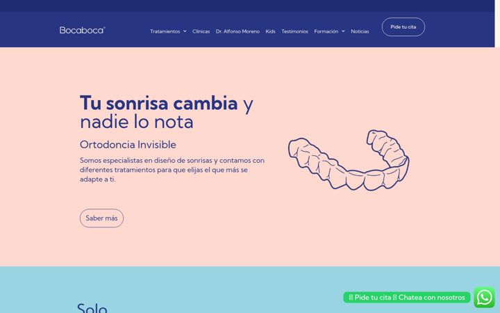 Screenshot of clinicadentalbocaboca.com