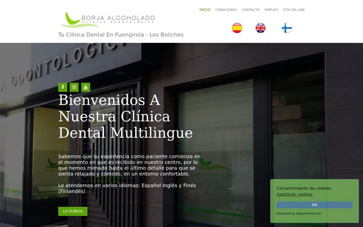 Screenshot of clinicadentalborjaalcoholado.com