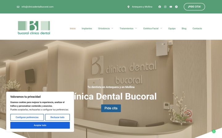 Screenshot of clinicadentalbucoral.com