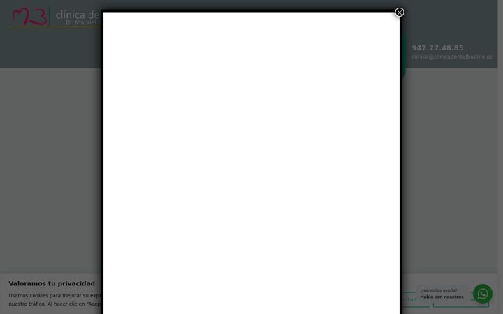 Screenshot of clinicadentalbudino.es