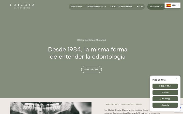 Screenshot of clinicadentalcaicoya.com