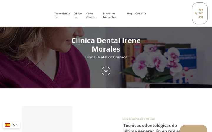 Screenshot of clinicadentalirenemorales.com