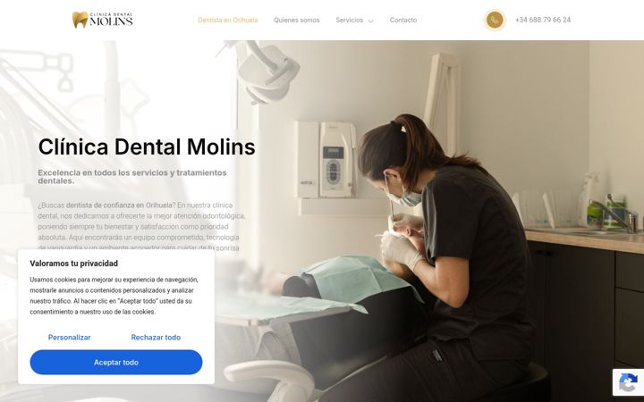 Screenshot of clinicadentalmolins.com