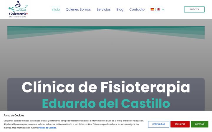 Skærmbillede af clinicaeduardodelcastillo.es