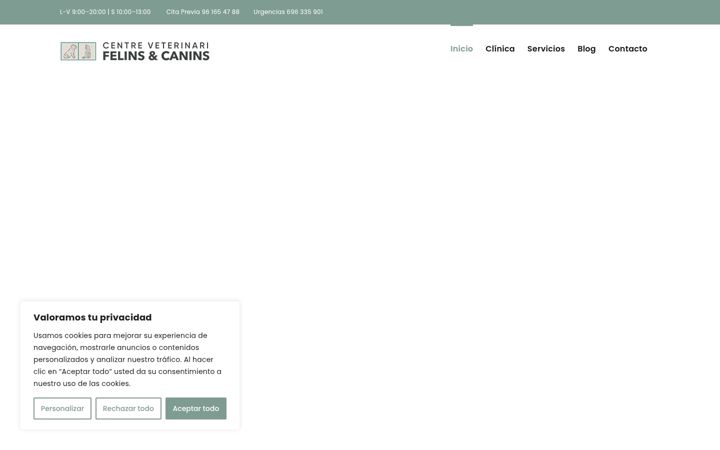 Screenshot of clinicafelinsicanins.com