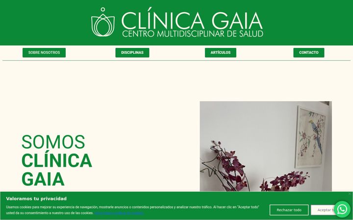 Screenshot of clinicagaiacmds.es