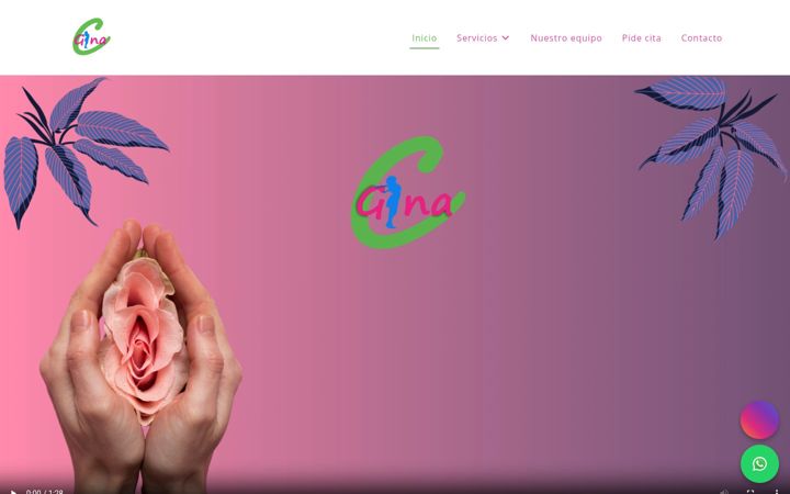 Screenshot of clinicagina.com