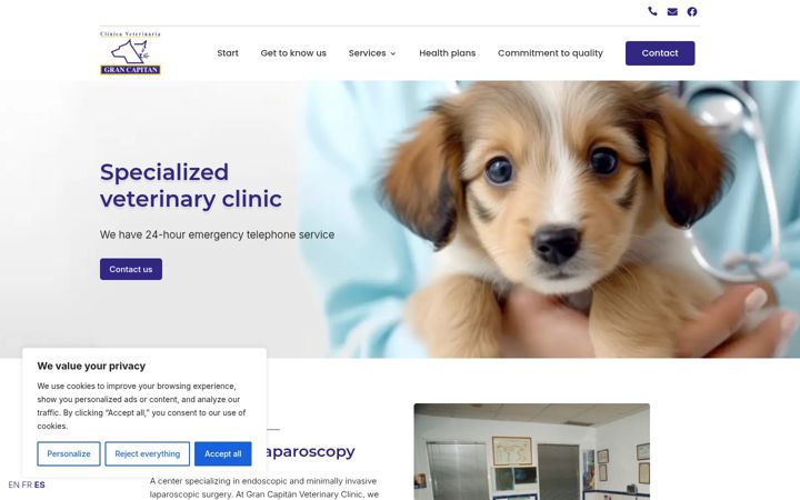 Snímek obrazovky clinicagrancapitan.es