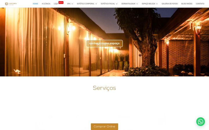 Screenshot stránky clinicaraizes.com.br