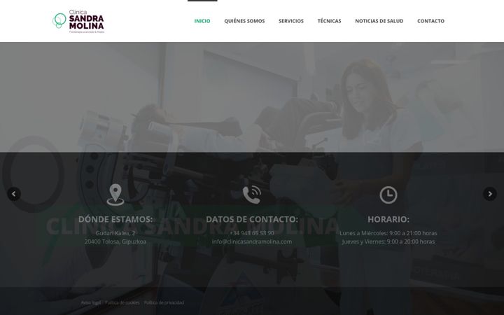 Screenshot of clinicasandramolina.com