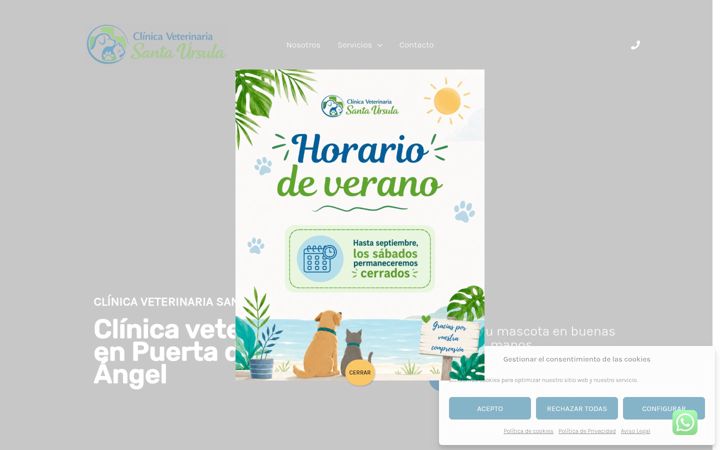 Screenshot of clinicasantaursula.es