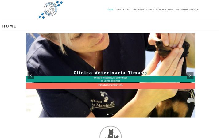 Screenshot of clinicatimavo.com