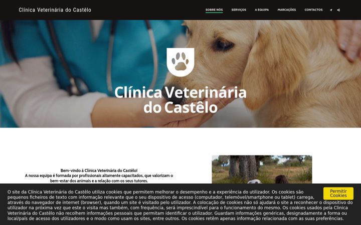 Képernyőkép: clinicavetcastelo.pt