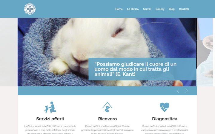 Screenshot of clinicavetchiari.com