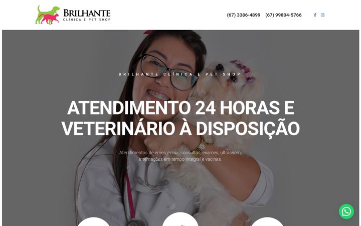 Screenshot of clinicaveterinaria24horas.com.br