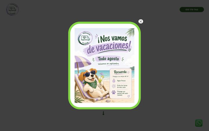 Screenshot of clinicaveterinariaamaniel.com