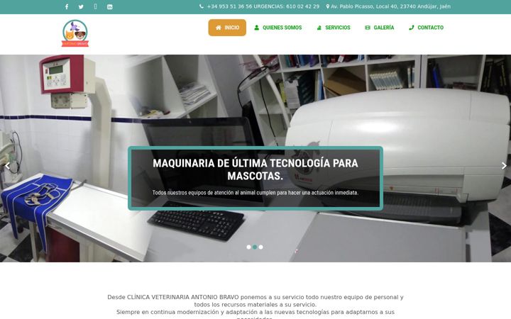 Screenshot of clinicaveterinariaantoniobravo.es