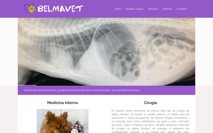 Screenshot of clinicaveterinariabelmavet.es