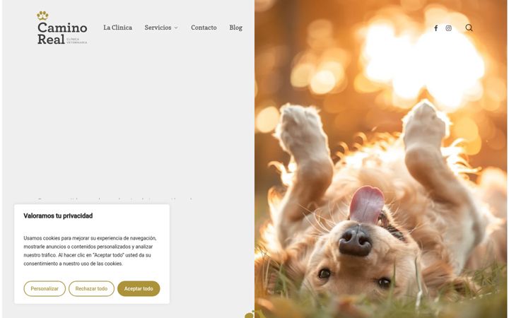 Screenshot of clinicaveterinariacaminoreal.es