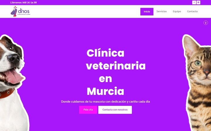 Capture d'écran de clinicaveterinariadinos.es