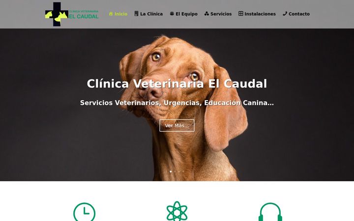 Capture d'écran de clinicaveterinariaelcaudal.es