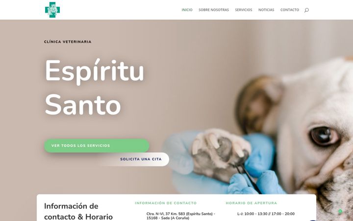 Screenshot of clinicaveterinariaespiritusanto.es