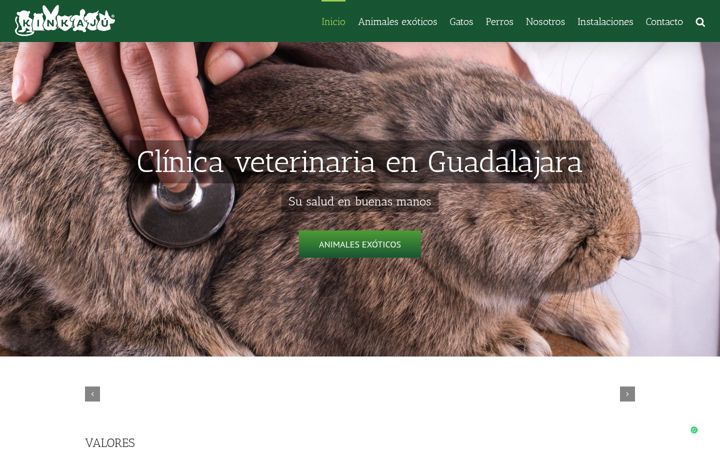 Screenshot of clinicaveterinariaguadalajara.es