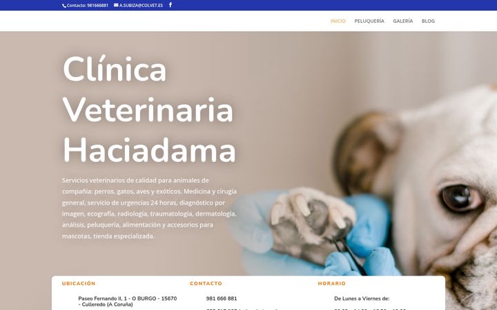 Capture d'écran de clinicaveterinariahaciadama.es