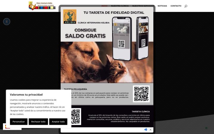 Capture d'écran de clinicaveterinariakelibia.es