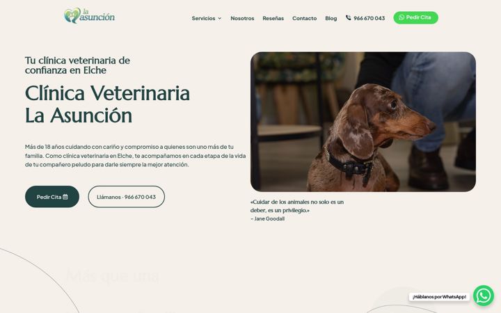 Screenshot of clinicaveterinarialaasuncion.com