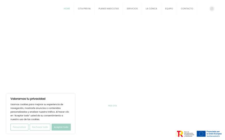 Screenshot of clinicaveterinarialladruc.com