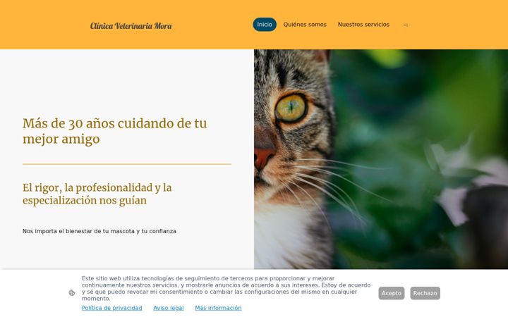 Screenshot of clinicaveterinariamora.es