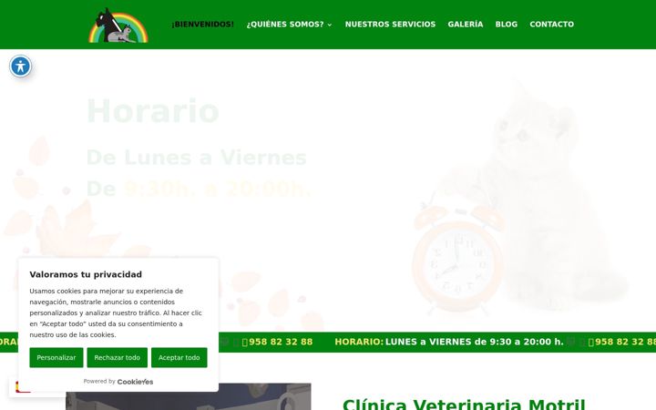Captura de pantalla de clinicaveterinariamotril.es