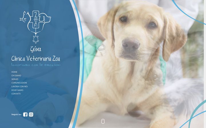 Captura de pantalla de clinicaveterinarianoto.it