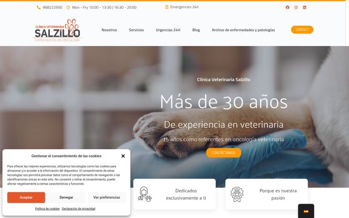 Screenshot of clinicaveterinariasalzillo.com
