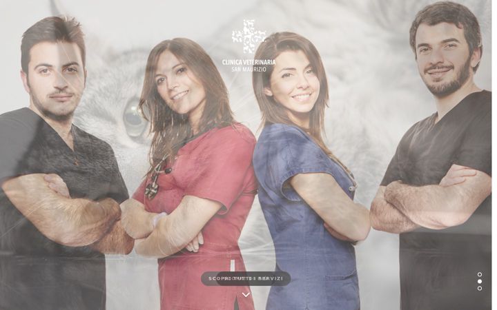 Captura de pantalla de clinicaveterinariasanmaurizio.it
