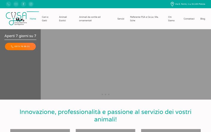 Screenshot of clinicaveterinariasantagostino.it